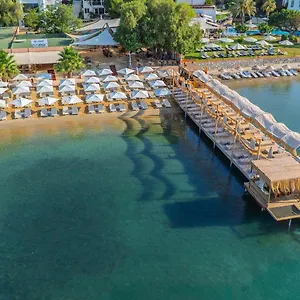 https://breeze-bodrum-beach.aegeanhotels.net